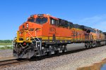 BNSF 8079